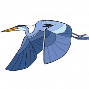 Blue Heron PNG -afbeelding