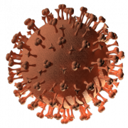 Coronavirus germes PNG