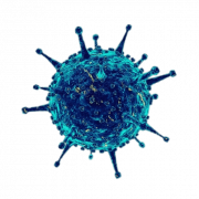Coronavirus Germs PNG Download Image
