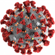 Coronavirus Germs PNG File