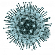 Coronavirus ziektekiemen PNG HD -afbeelding