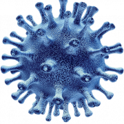 Coronavirus germs png imagem