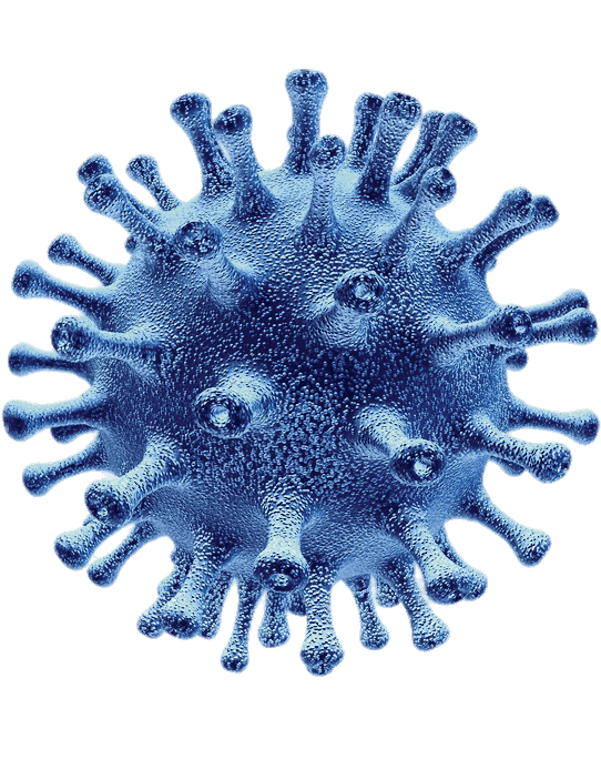 Coronavirus Germs PNG Image File
