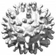 Coronavirus png afbeelding HD