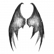 Драконки Крылья