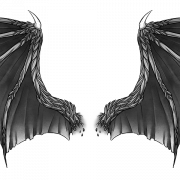 Image PNG des ailes de dragon