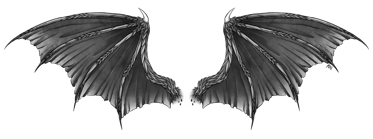 Dragon Wings PNG Image