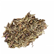 Dried Thyme PNG Image HD