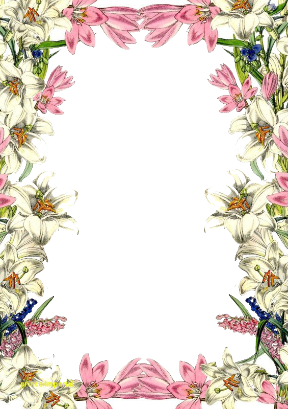 Flower Frame PNG Image