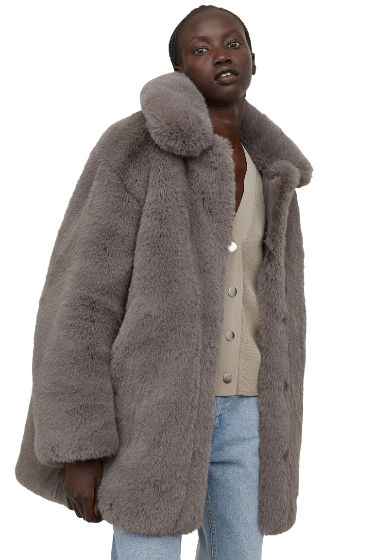 Fur Coat PNG Picture