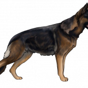 German Shepherd Dog PNG File Download Free