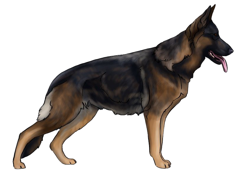 German Shepherd Dog PNG File Download Free