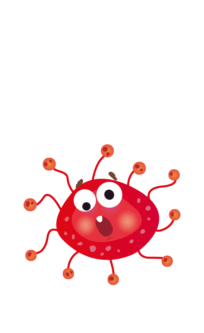 Germs png HD imahe