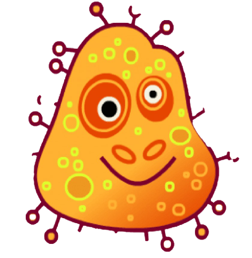 Fichier image des germes PNG