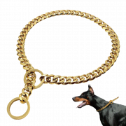 Gold Dog Chain PNG