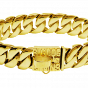 Gouden hondenketen PNG Clipart