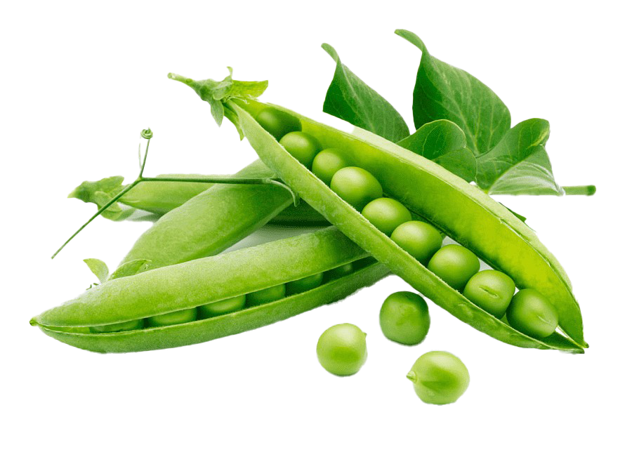 Green Beans PNG Download Image