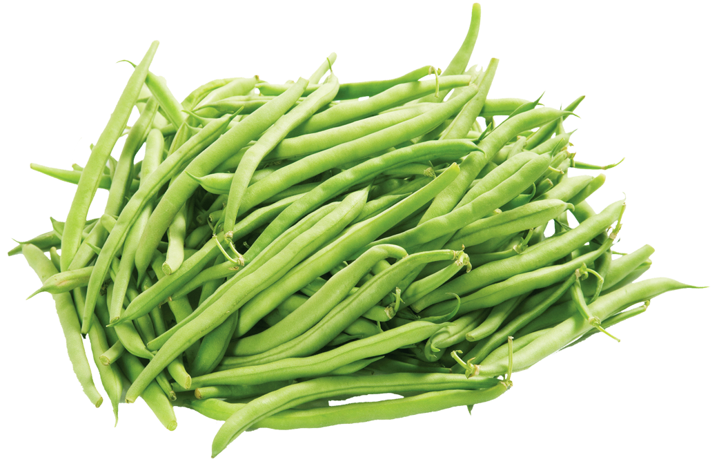Green Beans PNG File Download Free