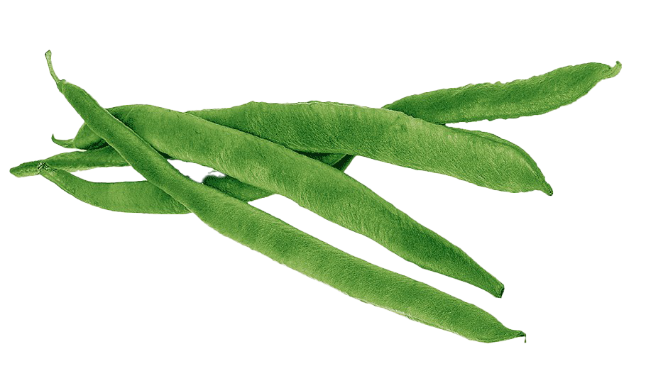 Green Beans PNG High Quality Image