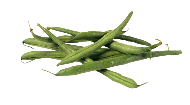 Green Beans PNG Image File