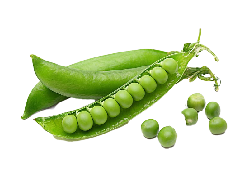 Green Beans Transparent