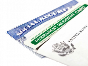 Green Card PNG Image HD