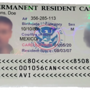 Green Card PNG Pic