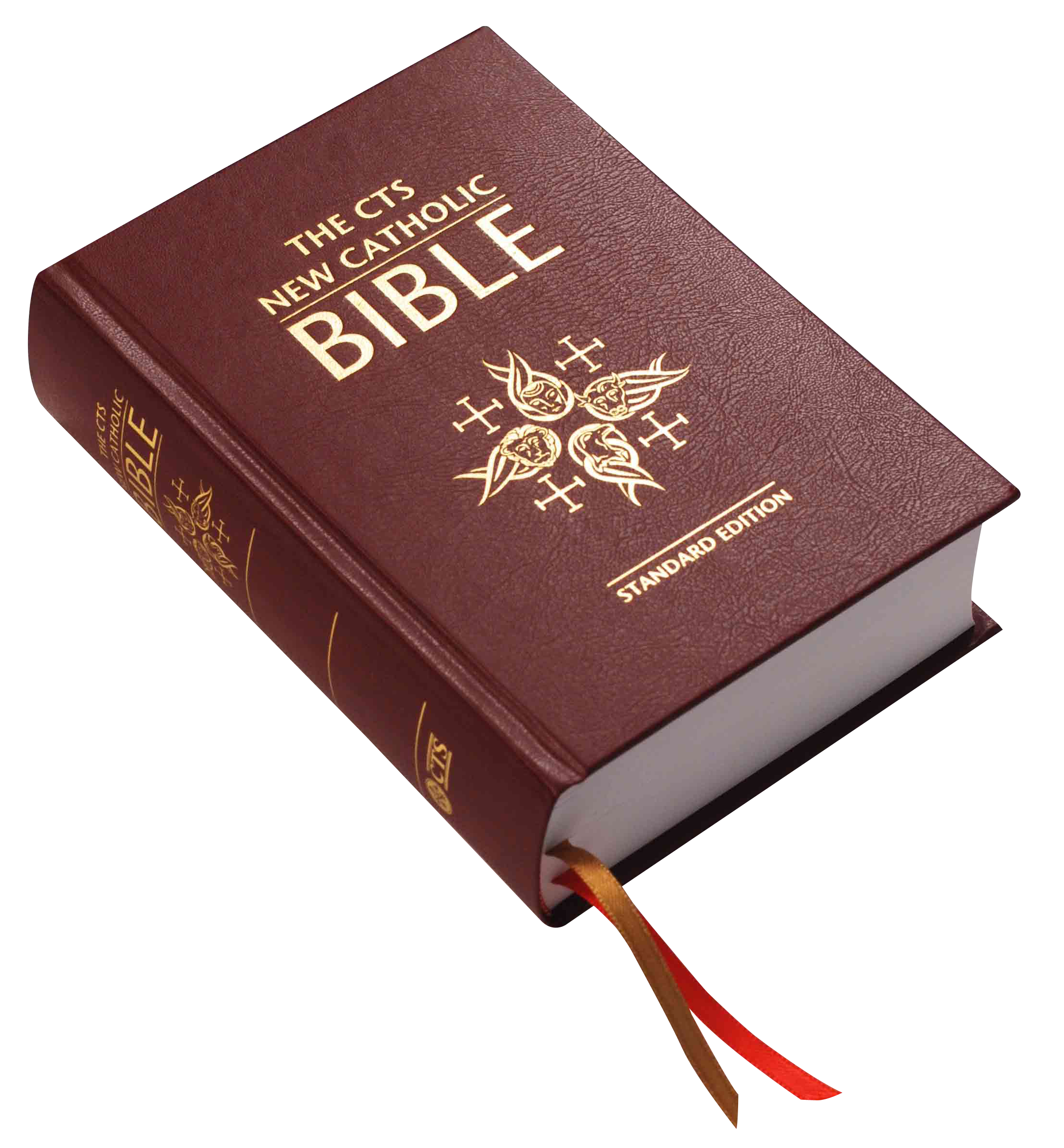 Holy Bible PNG Pic