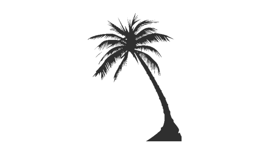 Long Coconut Tree PNG Clipart