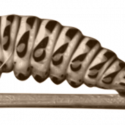 Maggot PNG Picture