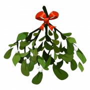 Mistletoe PNG