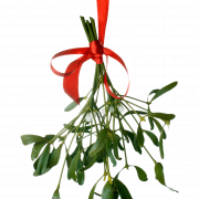 Mistletoe PNG Clipart