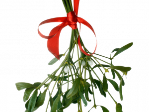 Mistletoe PNG Clipart