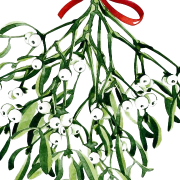 Gambar unduhan mistletoe png