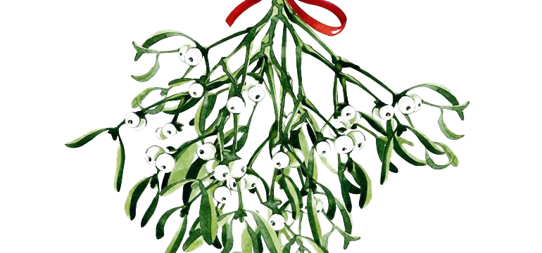 Gambar unduhan mistletoe png