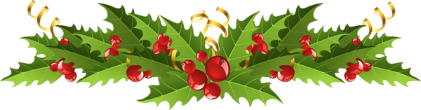 Mistletoe PNG Free Download