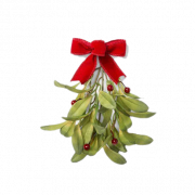 Mistletoe PNG Mataas na kalidad ng imahe