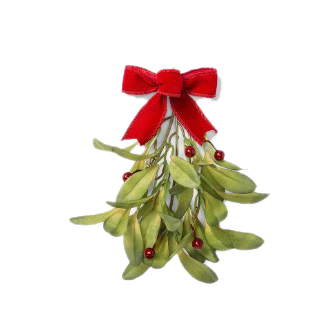 Mistletoe PNG High Quality Image