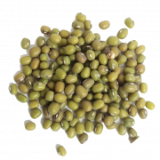 Mung Bean PNG Picture