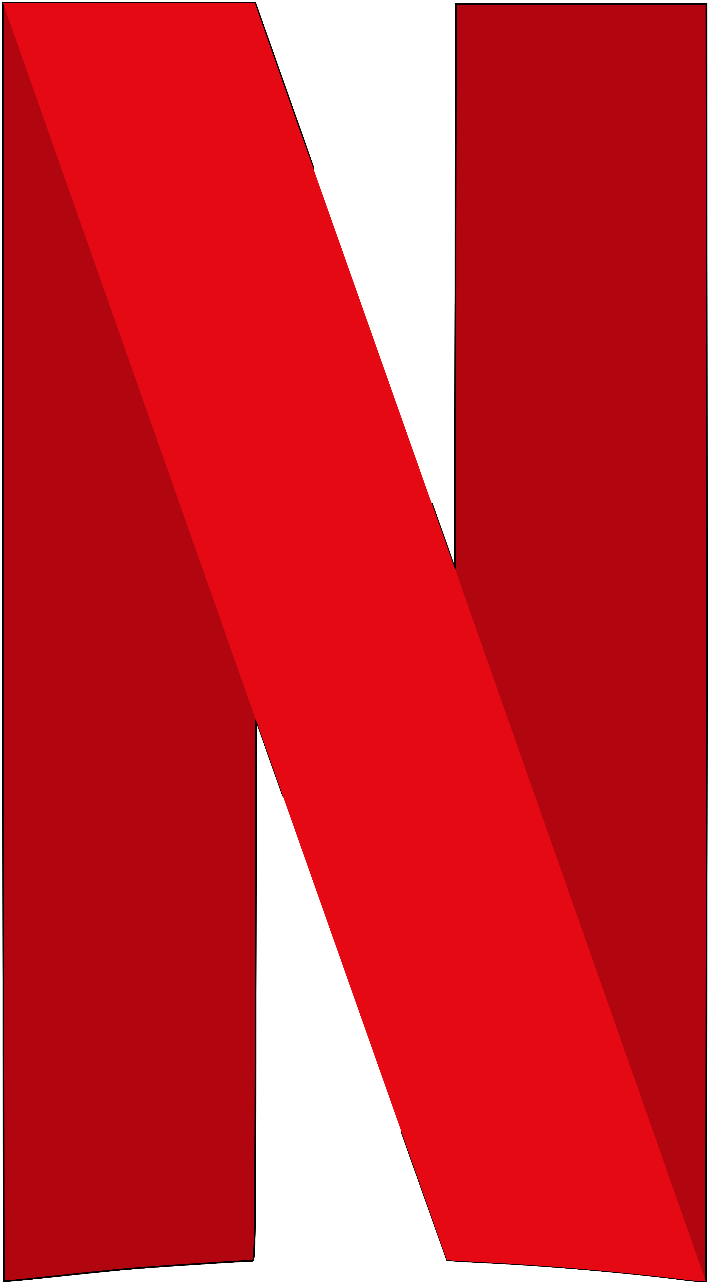 N Netflix Logo
