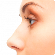 File png hidung
