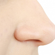 Nose PNG File Download Free