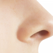 Hidung PNG Gambar Gratis