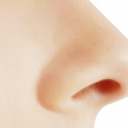 Файл изображения носа PNG