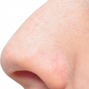 Nose PNG Images