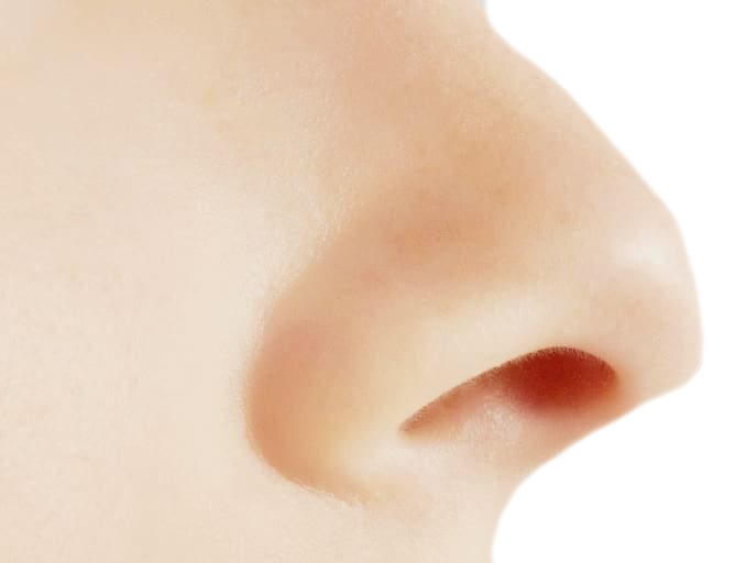 Nose PNG Photo