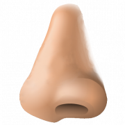 Nose PNG Pic