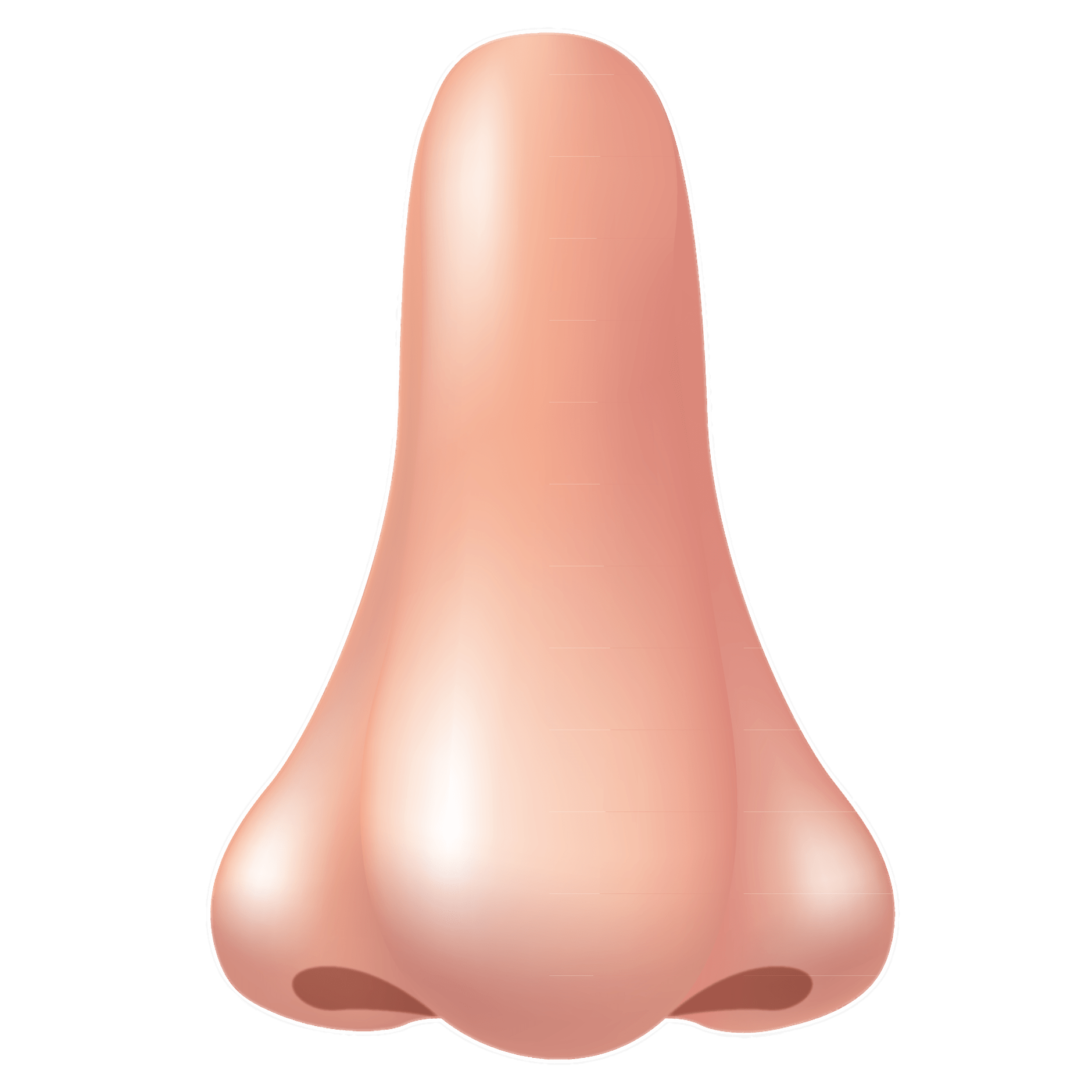 Nose PNG Picture