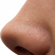 Foto HD Transparan Hidung PNG