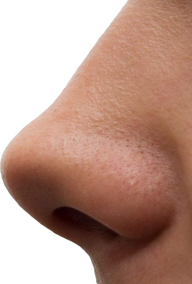 Nose PNG Transparent HD Photo